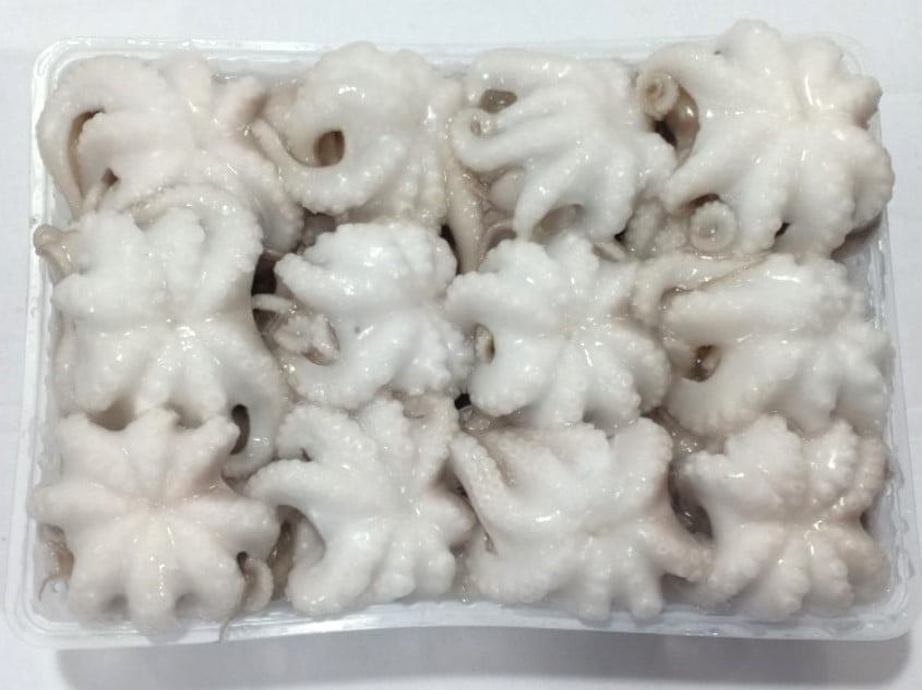 1. Whole cleaned Single skin octopus (1)